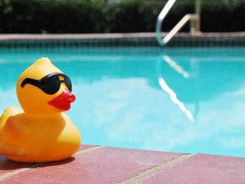 Sparkling pool with sundeck